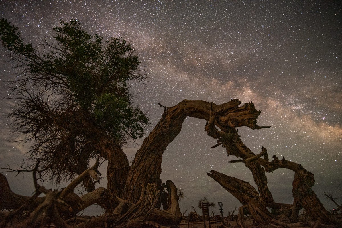 6c073f29dc24096ce121bef3559539dd_1735583