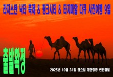 라자스탄 낙타 축제 & 핑크시…