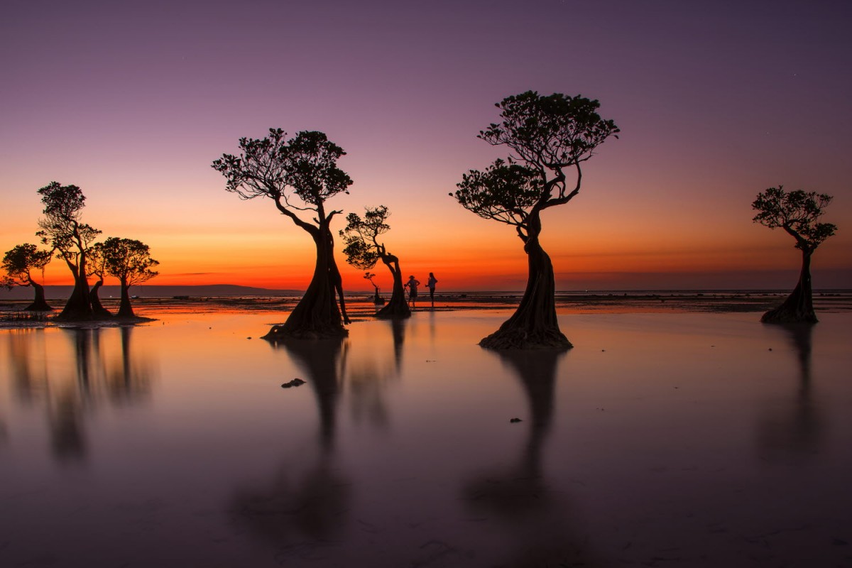 66e43706b64861e835326dbcfdfc9571_1759422