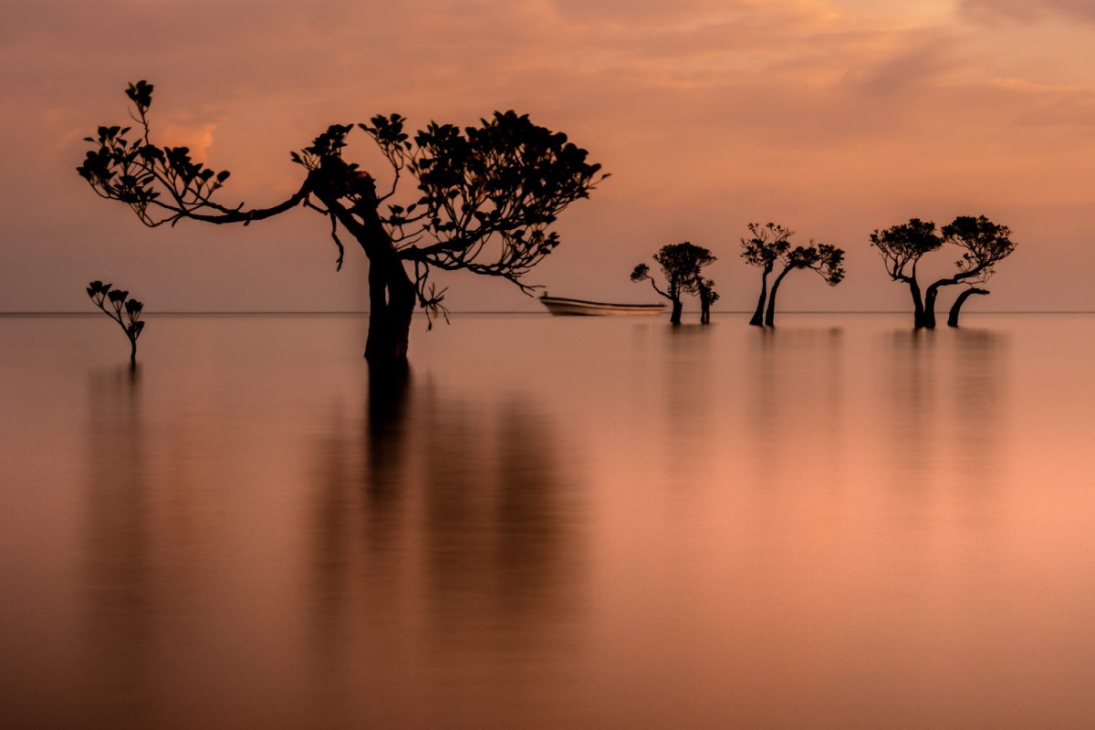 66e43706b64861e835326dbcfdfc9571_1759422