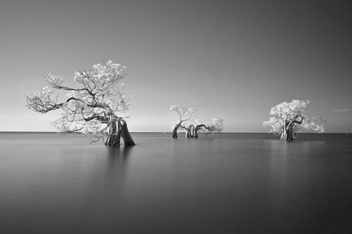 66e43706b64861e835326dbcfdfc9571_1759422