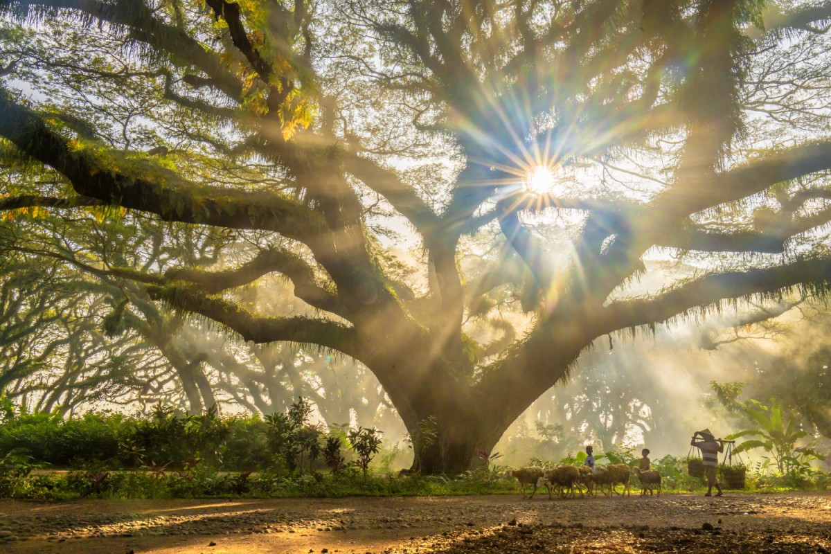 66e43706b64861e835326dbcfdfc9571_1759430