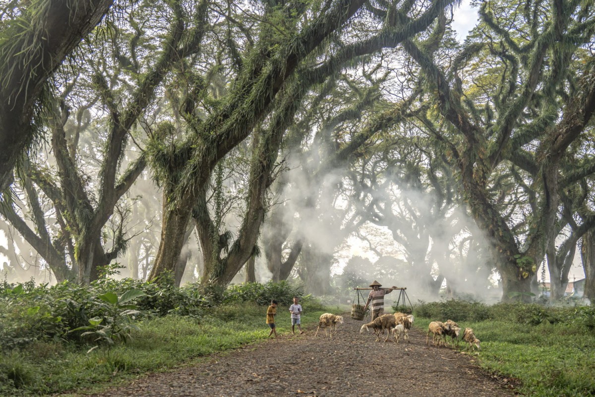 66e43706b64861e835326dbcfdfc9571_1759430