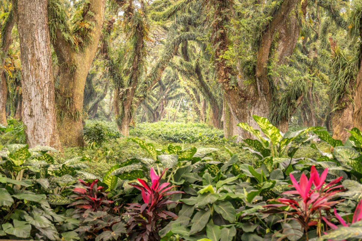 66e43706b64861e835326dbcfdfc9571_1759430