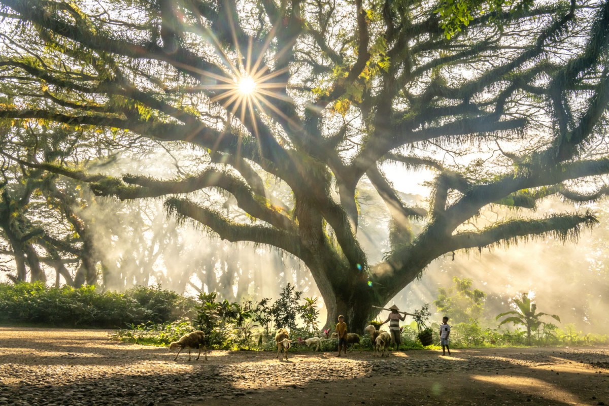 66e43706b64861e835326dbcfdfc9571_1759430