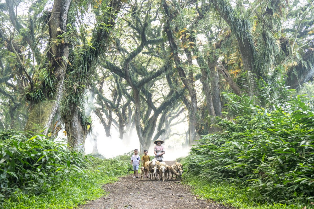 66e43706b64861e835326dbcfdfc9571_1759430