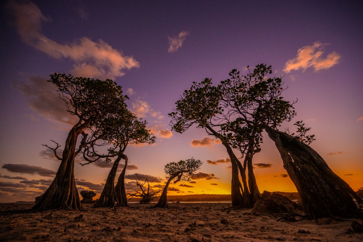 66e43706b64861e835326dbcfdfc9571_1759437