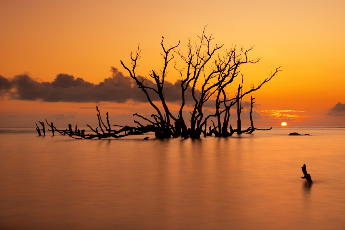 66e43706b64861e835326dbcfdfc9571_1759437