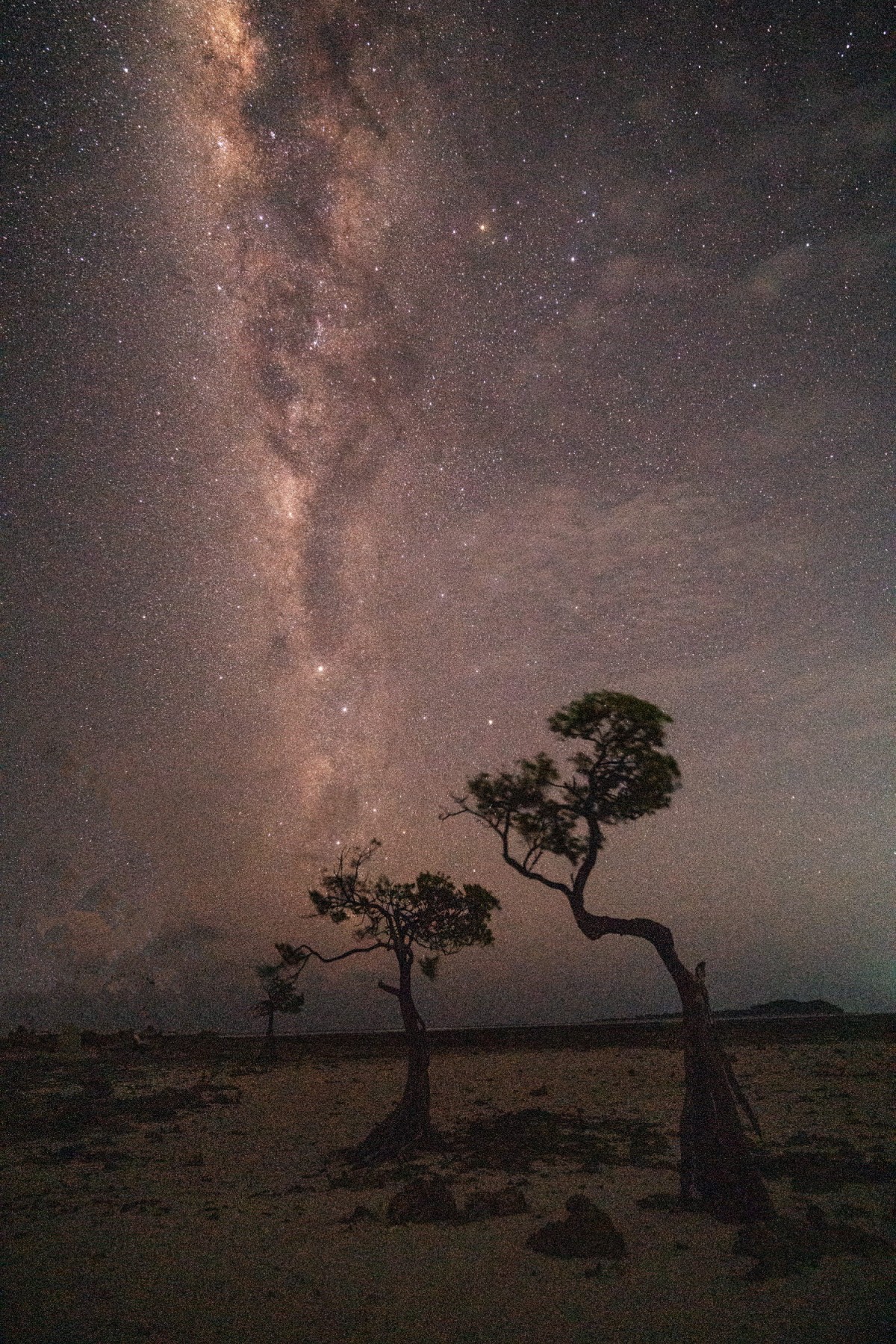 66e43706b64861e835326dbcfdfc9571_1759437