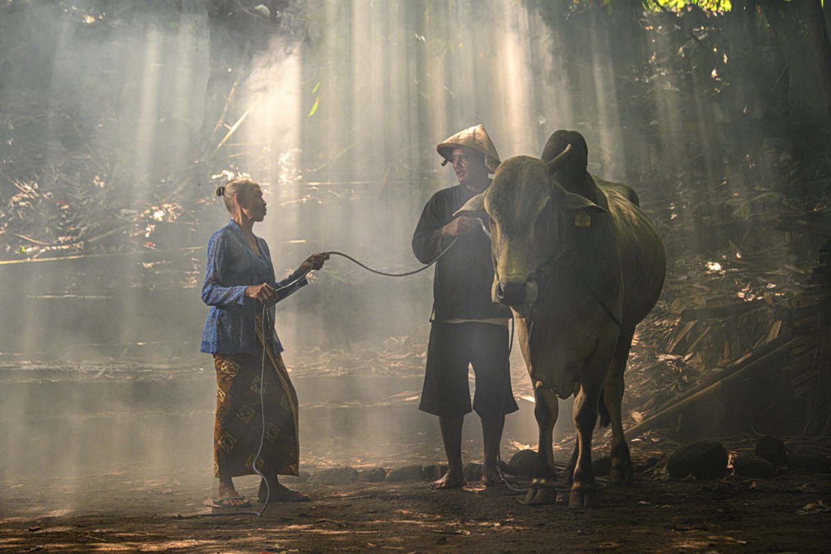 a899c22b7665293c0961f218f8e5df9a_1759502