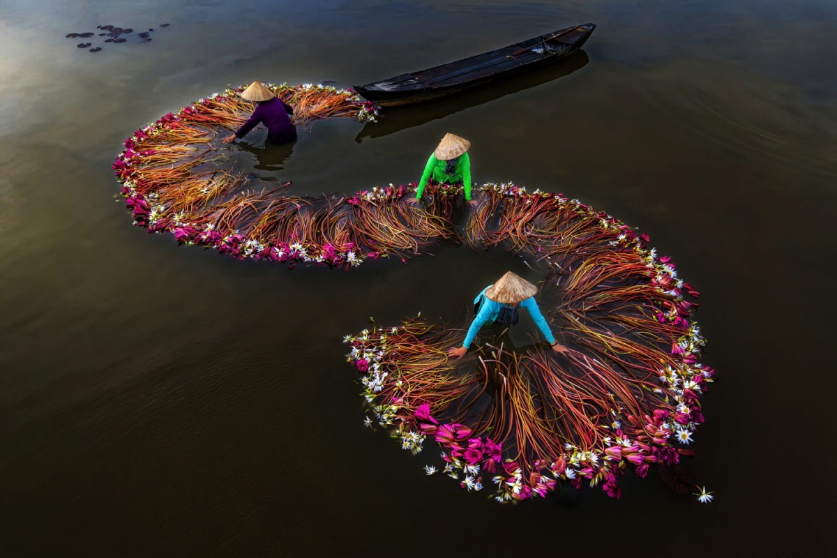 4ba9f169a7cd41ecad88e95d958c84ae_1763551