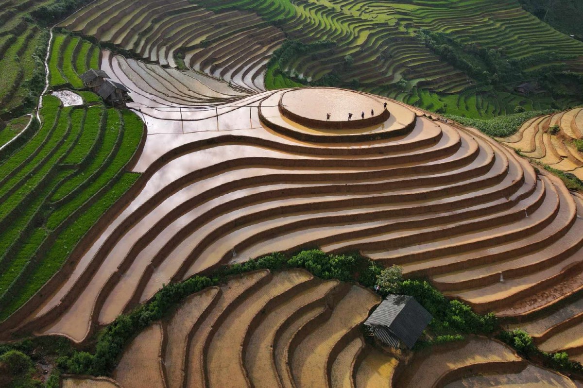 429c86956dd92a515ba6f622949a5ea6_1770924