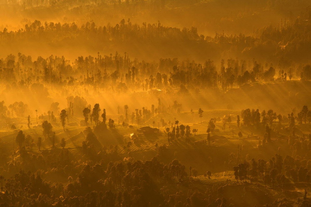 e40bf1fee11333885840c081ed696964_1769876