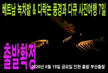 베트남 녹차밭 & 다락논 풍경…