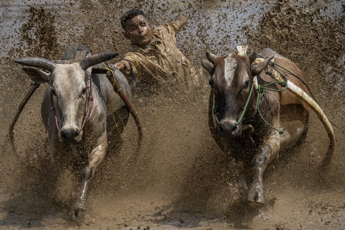 8f49cb61e20378edba53a8198f19c7e6_1772311