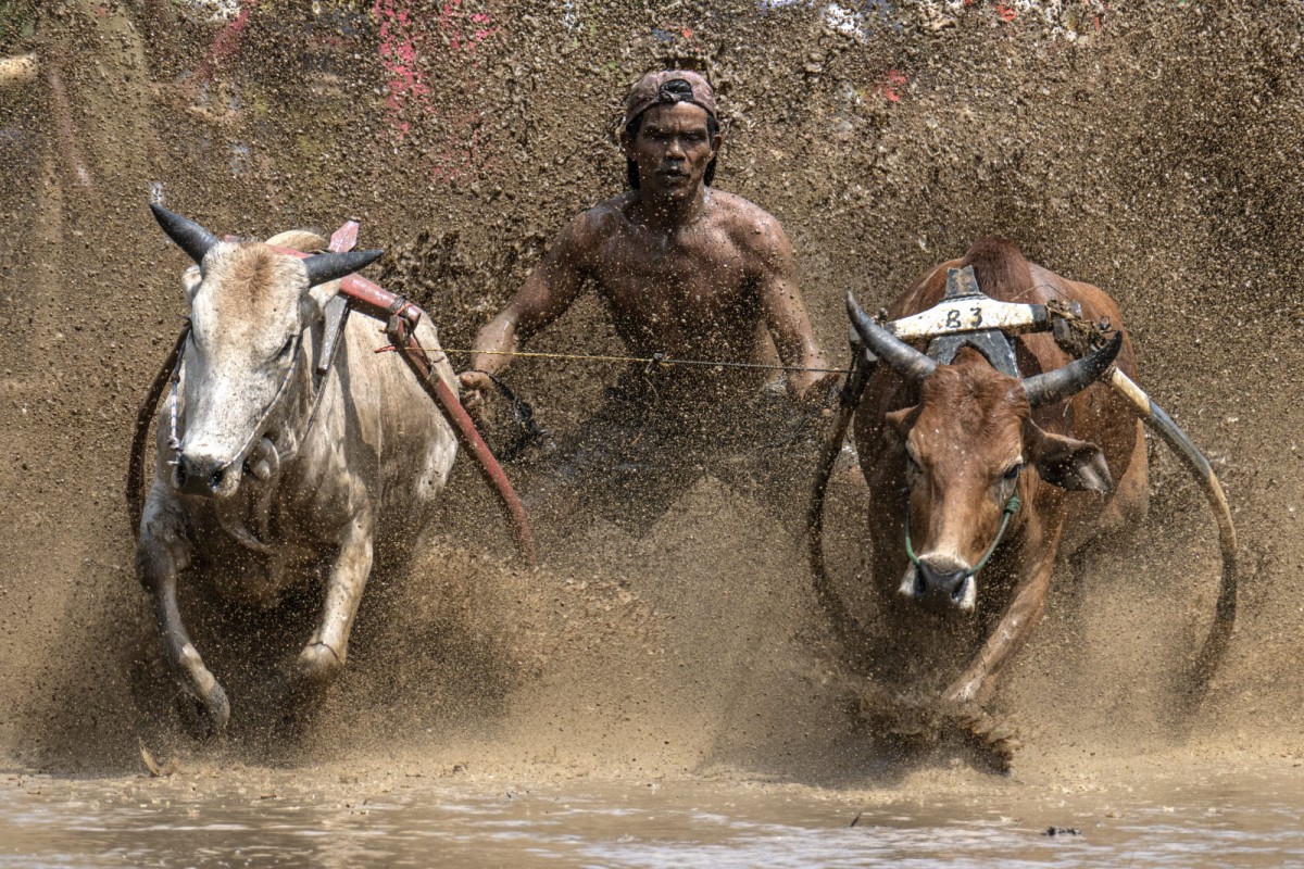 8f49cb61e20378edba53a8198f19c7e6_1772311