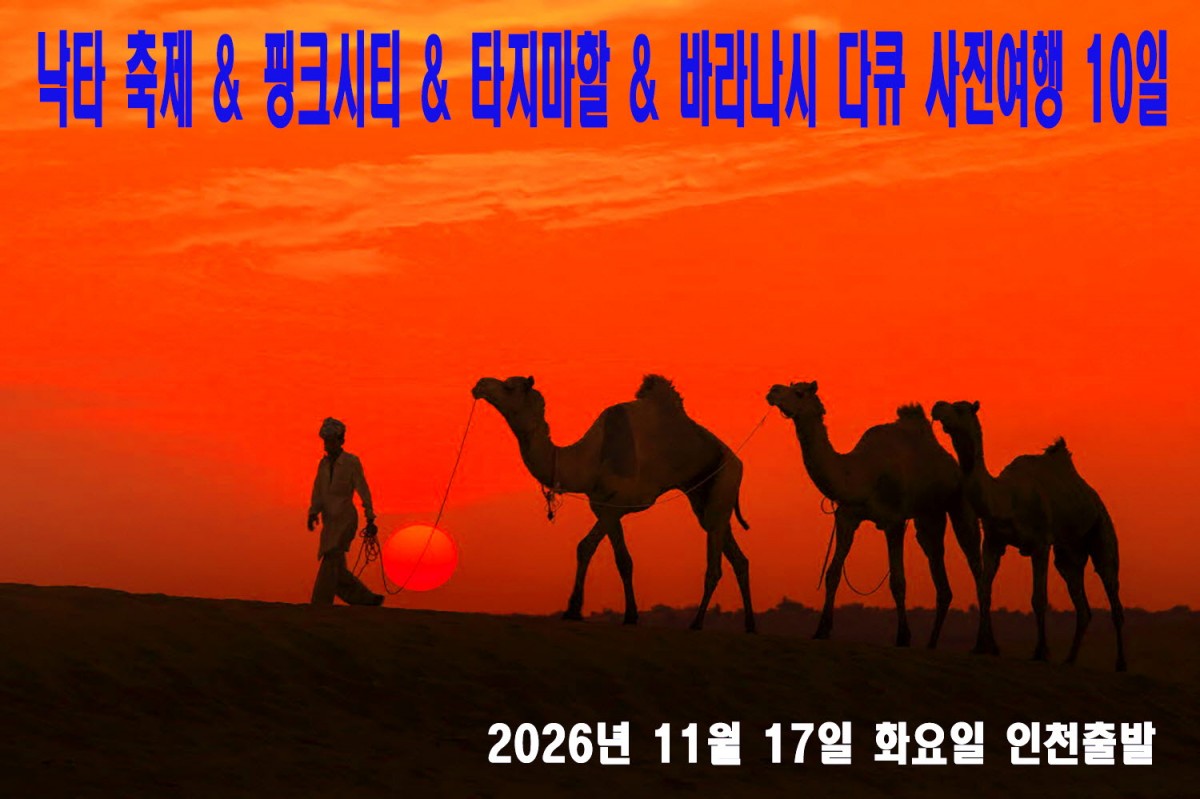 fe15debfc594526706b3b5b70f8e2420_1777909