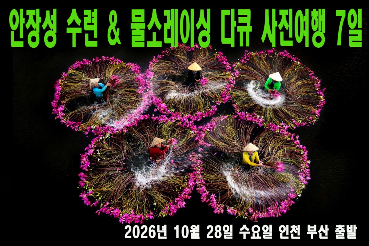 d88cf22bc670e26bc92fbba6ca769ebb_1783443